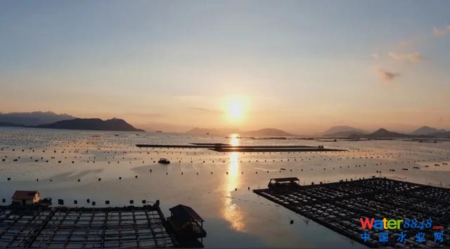 廣西衛(wèi)視對話中國工程院院士高從堦:廣西海洋經(jīng)濟大有可為